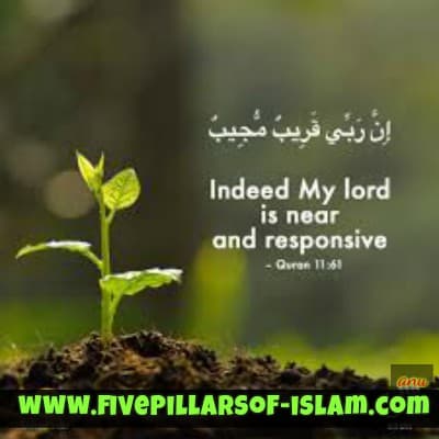 Beautiful Islamic Quotes About Life